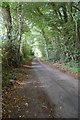 Foxhole Lane through Tongs Wood