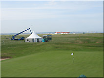 TR3558 : 16th green at Royal St George's golf course by Nick Smith