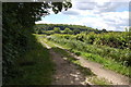 Footpath off Merriments Lane