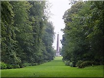 ST7734 : Avenue to the Obelisk at Stourhead by David Smith