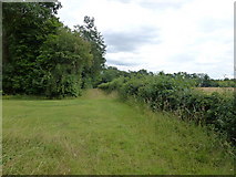 TL1499 : On the edge of Salter's Wood near Milton Hall by Richard Humphrey