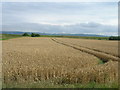 Farmland near the Humber