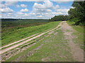 Track through Phie Forest Garden