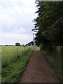 TM4160 : Sandlings Walk Footpath to the B1069 Snape Road by Geographer