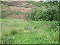 Footpath towards Small Shaw Bank