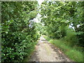 Footpath and entrance to Park Farm