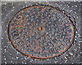 Brett Martin inspection cover, Belfast