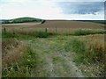 TQ0910 : Bridleway turns west on the South Downs by Shazz