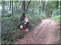 Orienteering in Dunmere Woods