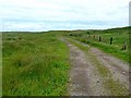 NZ2895 : Track onto Hemscotthill Links by Oliver Dixon
