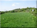 Grass field, Moorlinch