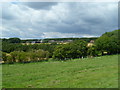 View of Lee Farm from bridleway to the south