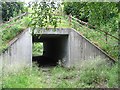 Underpass, Birnam Wood