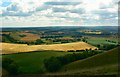 Farmland east of Martinsell Hill, near Wootton Rivers