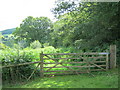 SO0129 : Field gate across bridleway on route to Brecon by peter robinson