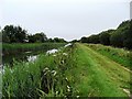 N5832 : Grand Canal in Rogerstown, Co. Offaly by JP
