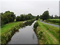 N5231 : Grand Canal from Toberdaly Bridge in Co. Offaly by JP