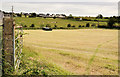 Cut field, Islandmagee