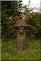 Pillar fountain, near Little Staughton