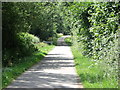 Hayreed Lane, near Arlington, East Sussex