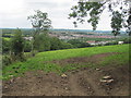 Field above Llanharan