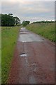 Road Near Netherton Farm