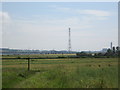 Desiccated rape fields at Dunmore