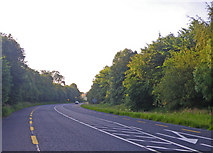 H7332 : Big curve through the woods on the Dublin highway by C Michael Hogan