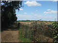 Footpath to Chelsfield