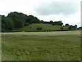 Looking towards Boats Copse