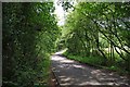 SO9173 : Woodcote Green Lane, looking north by P L Chadwick