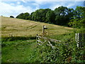 Bridleway corner near South Stoke Farm