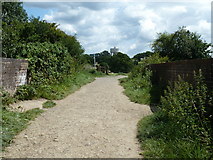 TQ3117 : Footpath and bridleway signpost by the bridge over the main line to London by Dave Spicer