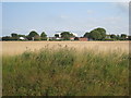 View towards Woad Lane