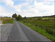 G7684 : Road at Tullinteane by Kenneth  Allen