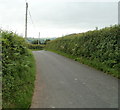 Hedged road at the northern edge of Crai