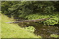 Footbridge across Winterburn Beck