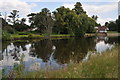 River Thames at Burcot