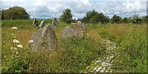 NS5966 : Sighthill Stone Circle by Lairich Rig