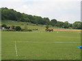 Field opposite The Gallops