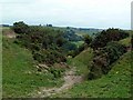 Hollow way footpath