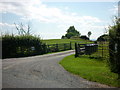 The way to Primrose Hill (farm), from Knowle Lane