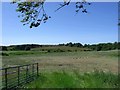 Balquhatstone, farmland