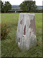 Paulton trig pillar