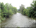 River Wylye from Stoford Bridge