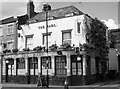 The Hare, Cambridge Heath