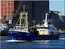 J3576 : The 'Emerald Gratia' at Belfast by Rossographer