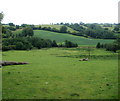 Field and woods near Nantmadog Farm