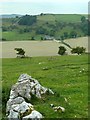 Looking over Dovedale to Sprink