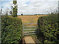 Footpath to Market Bosworth